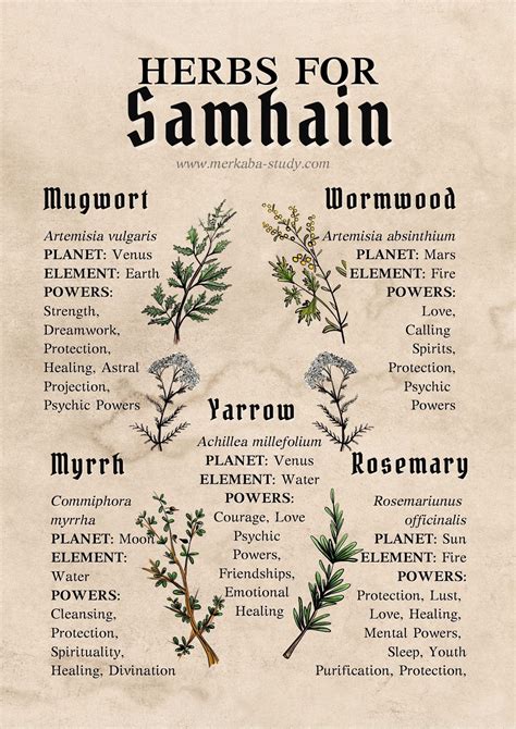 The Power of Crystals and Gemstones in Samhain Pagan Ceremonies